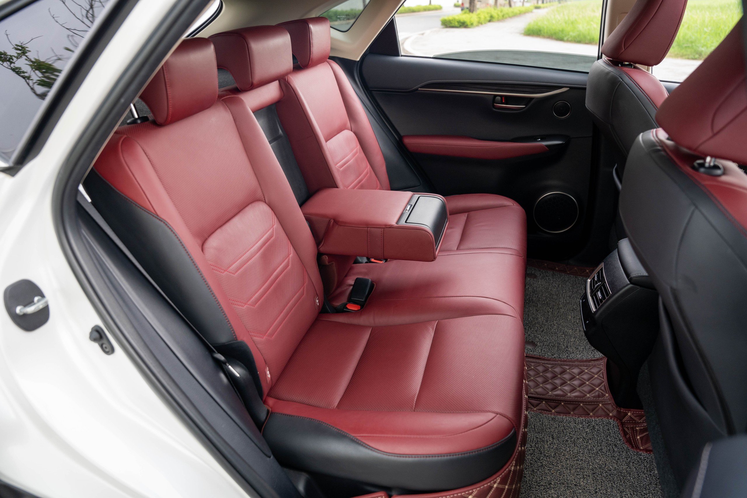 Lexus NX300 2019 (10)