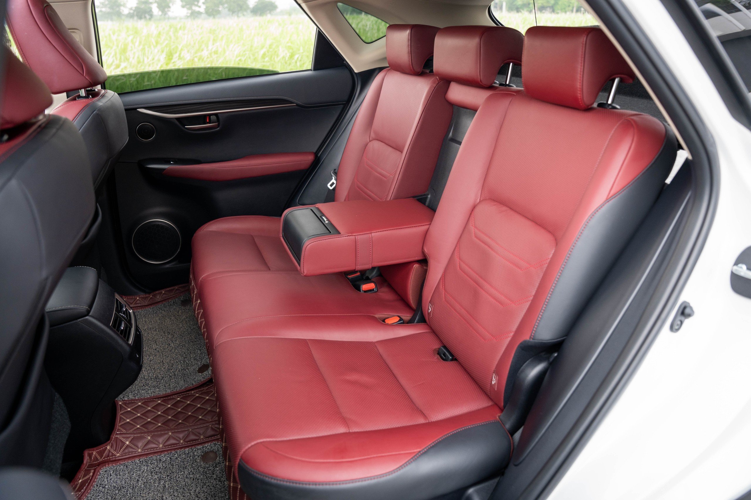 Lexus NX300 2019 (11)