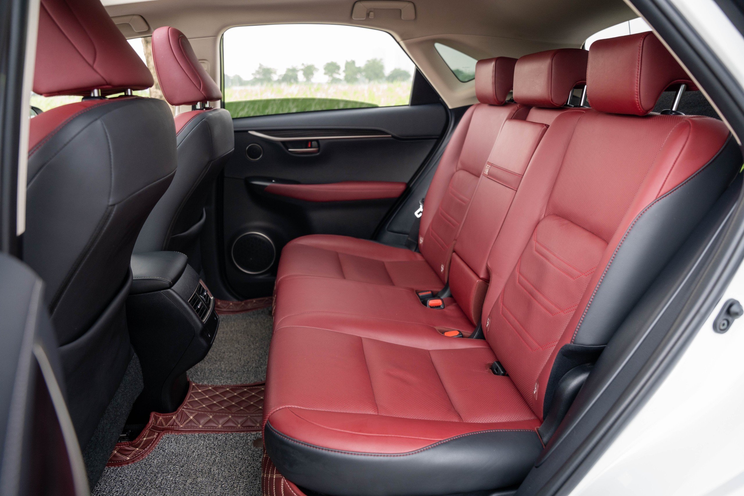 Lexus NX300 2019 (14)