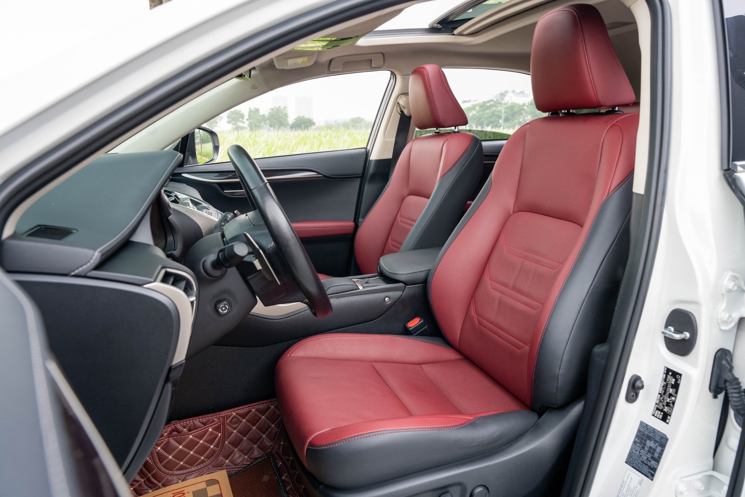 Lexus NX300 2019 (15)