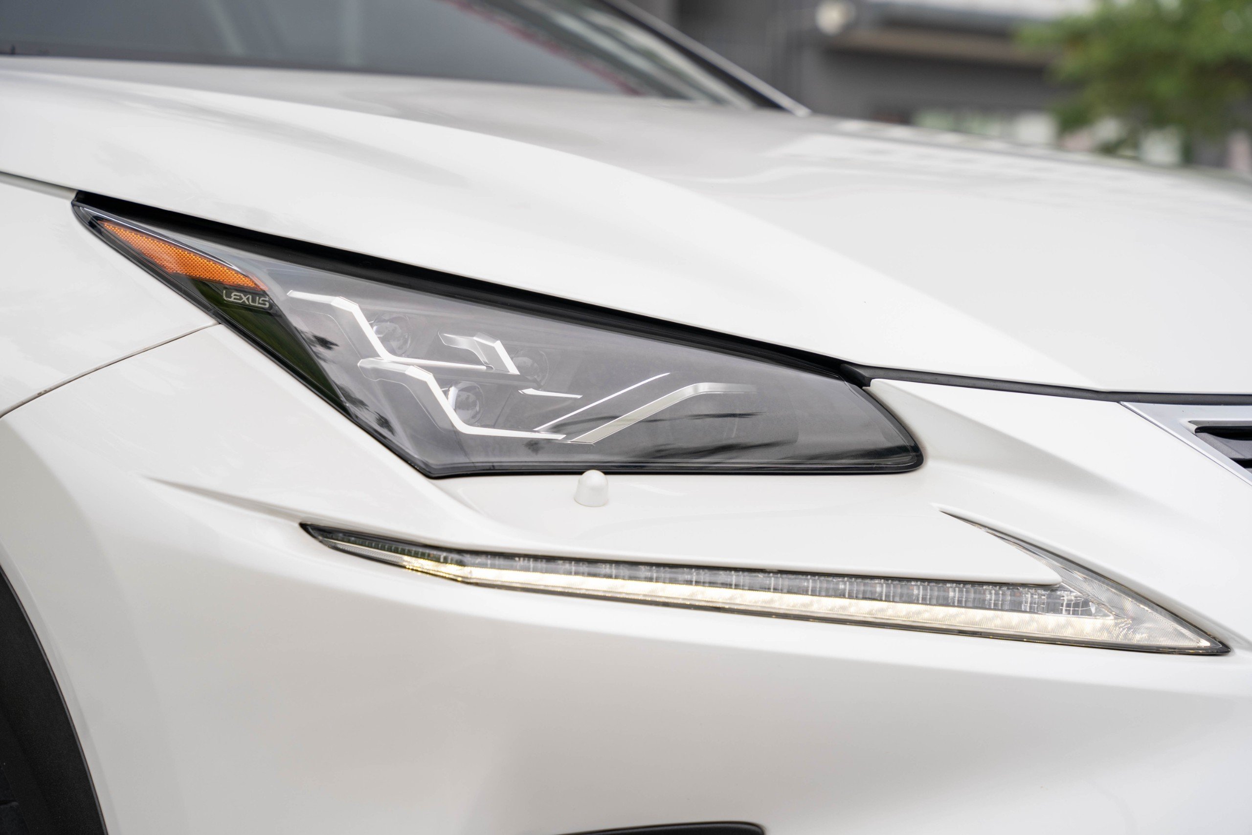 Lexus NX300 2019 (17)