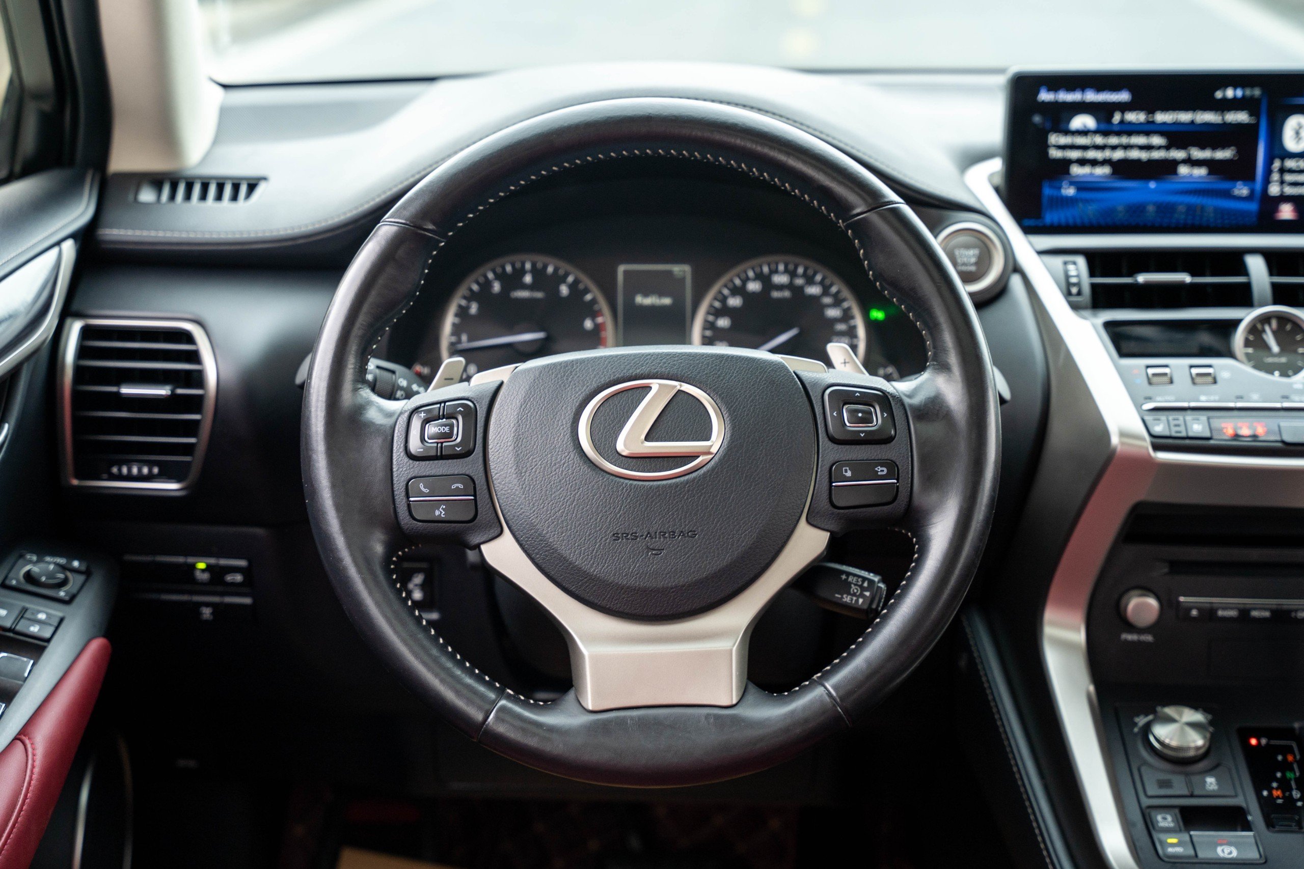 Lexus NX300 2019 (2)