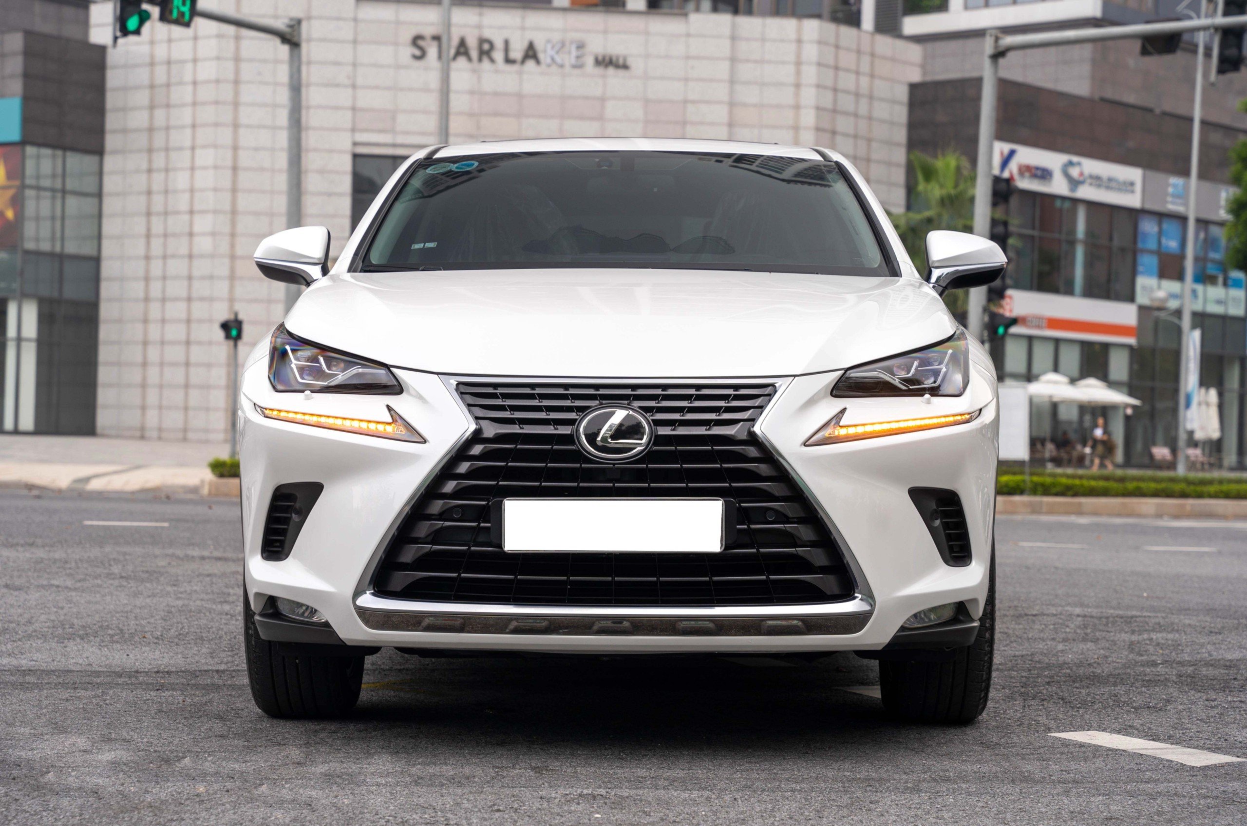 Lexus NX300 2019 (21)