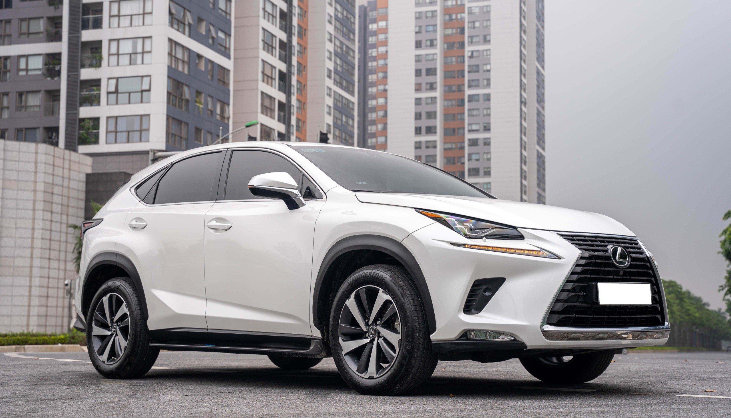Lexus NX300 2019 (23)