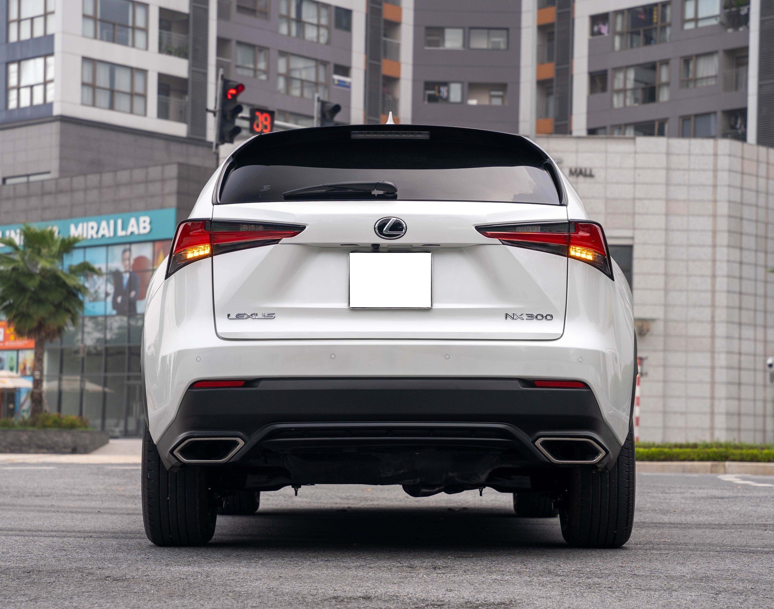 Lexus NX300 2019 (26)