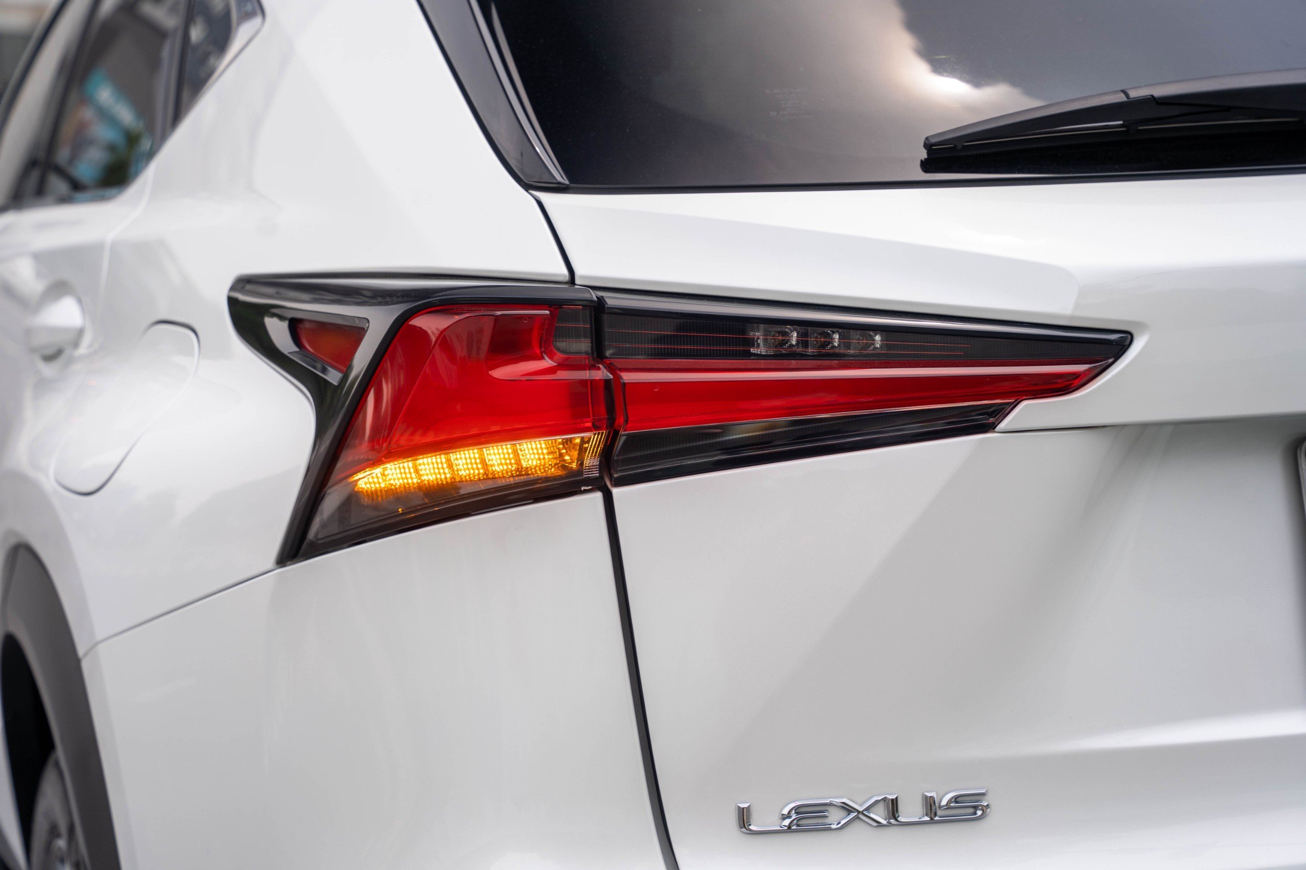 Lexus NX300 2019 (3)