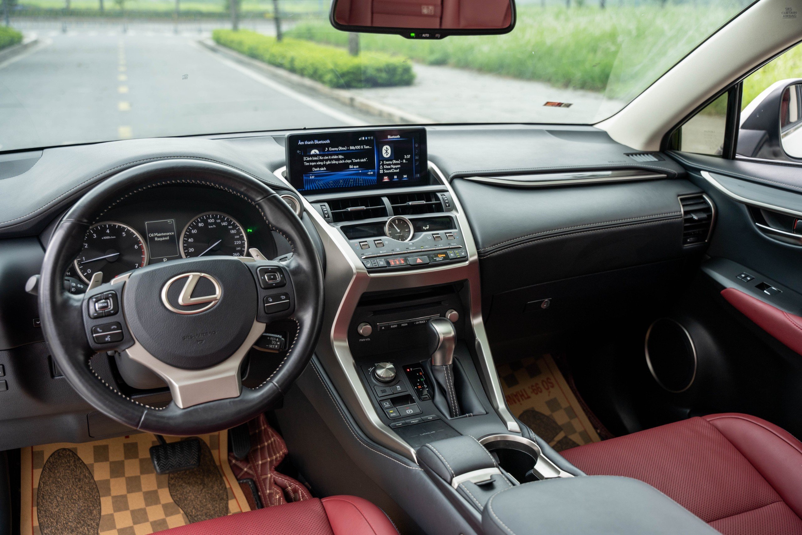 Lexus NX300 2019 (6)