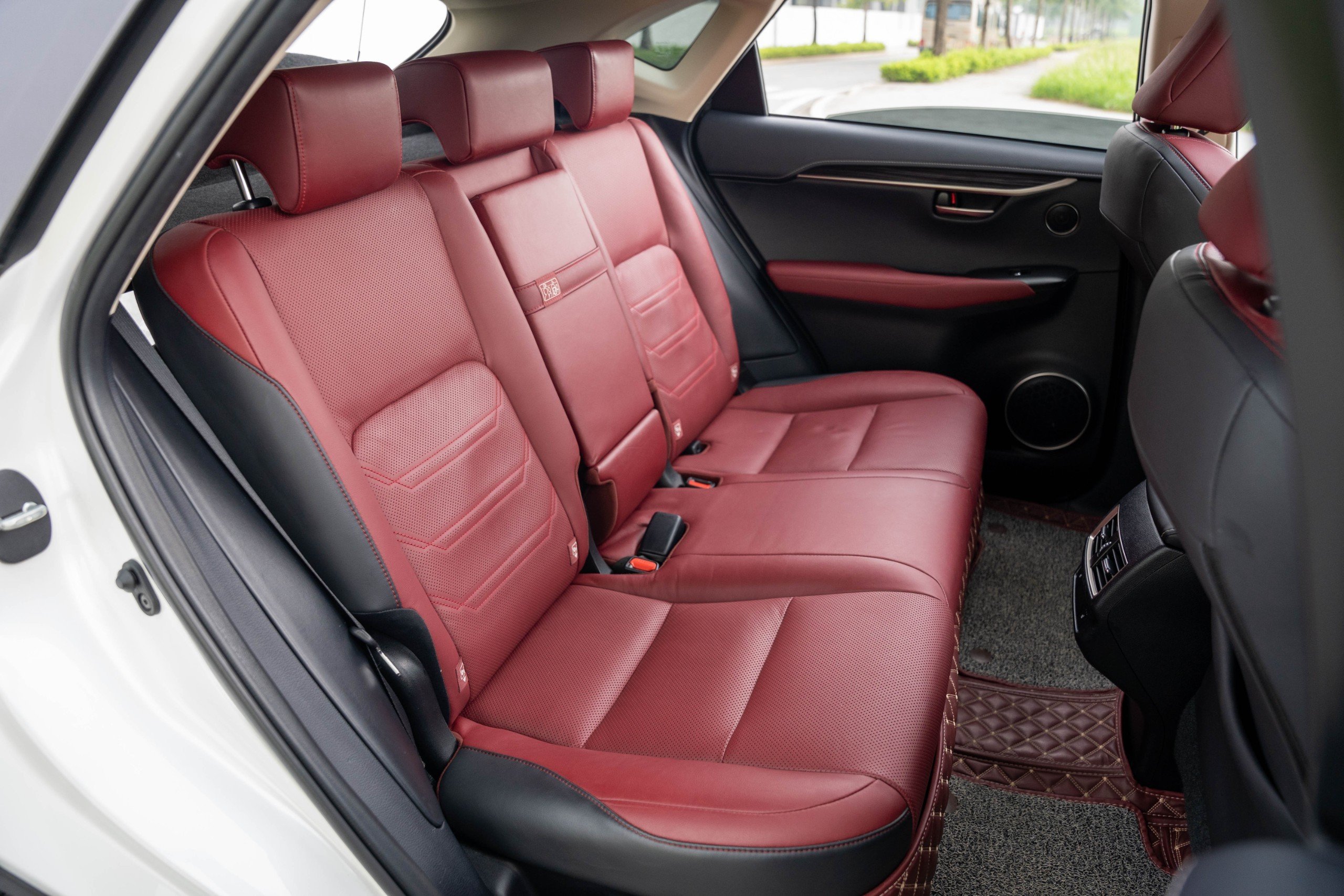 Lexus NX300 2019 (9)