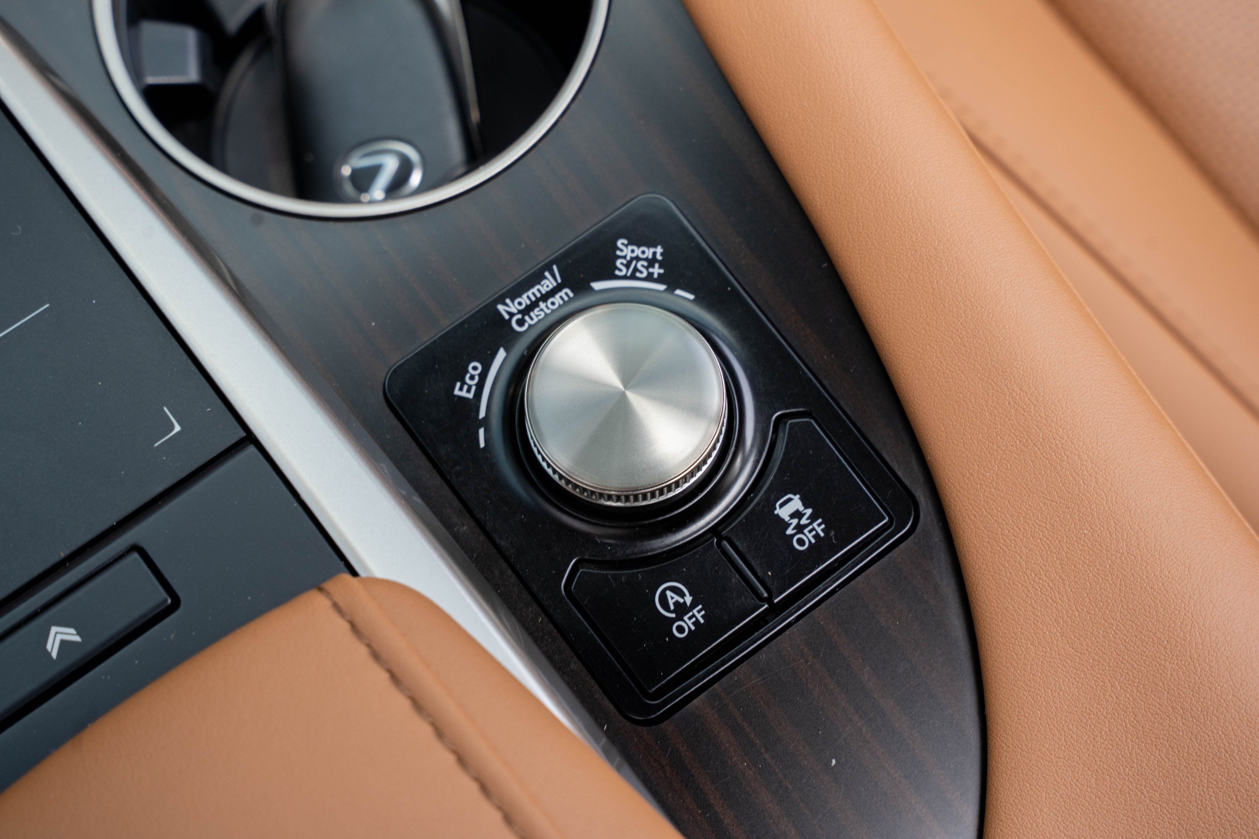 Lexus RX300 2020 (1)