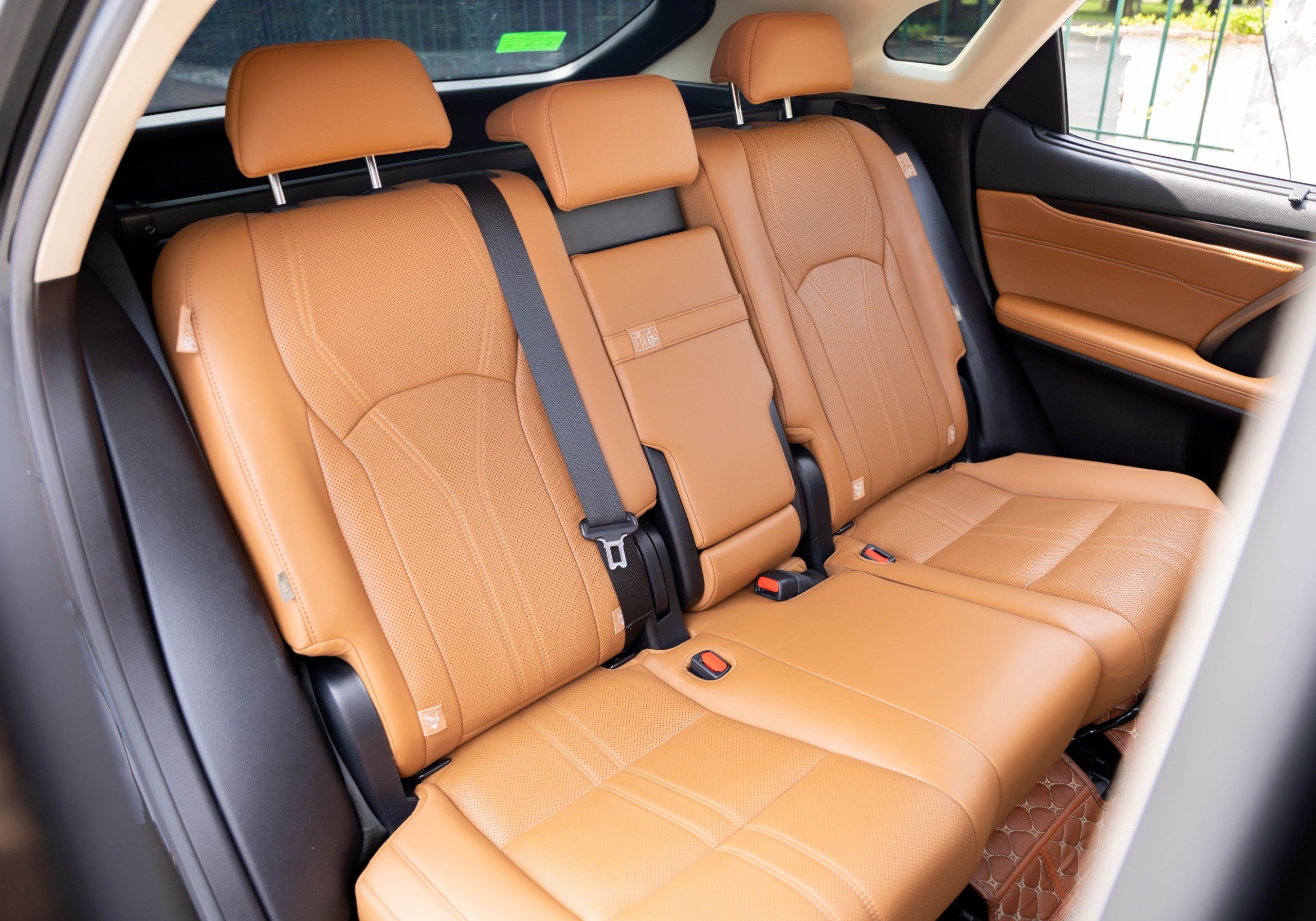 Lexus RX300 2020 (2)