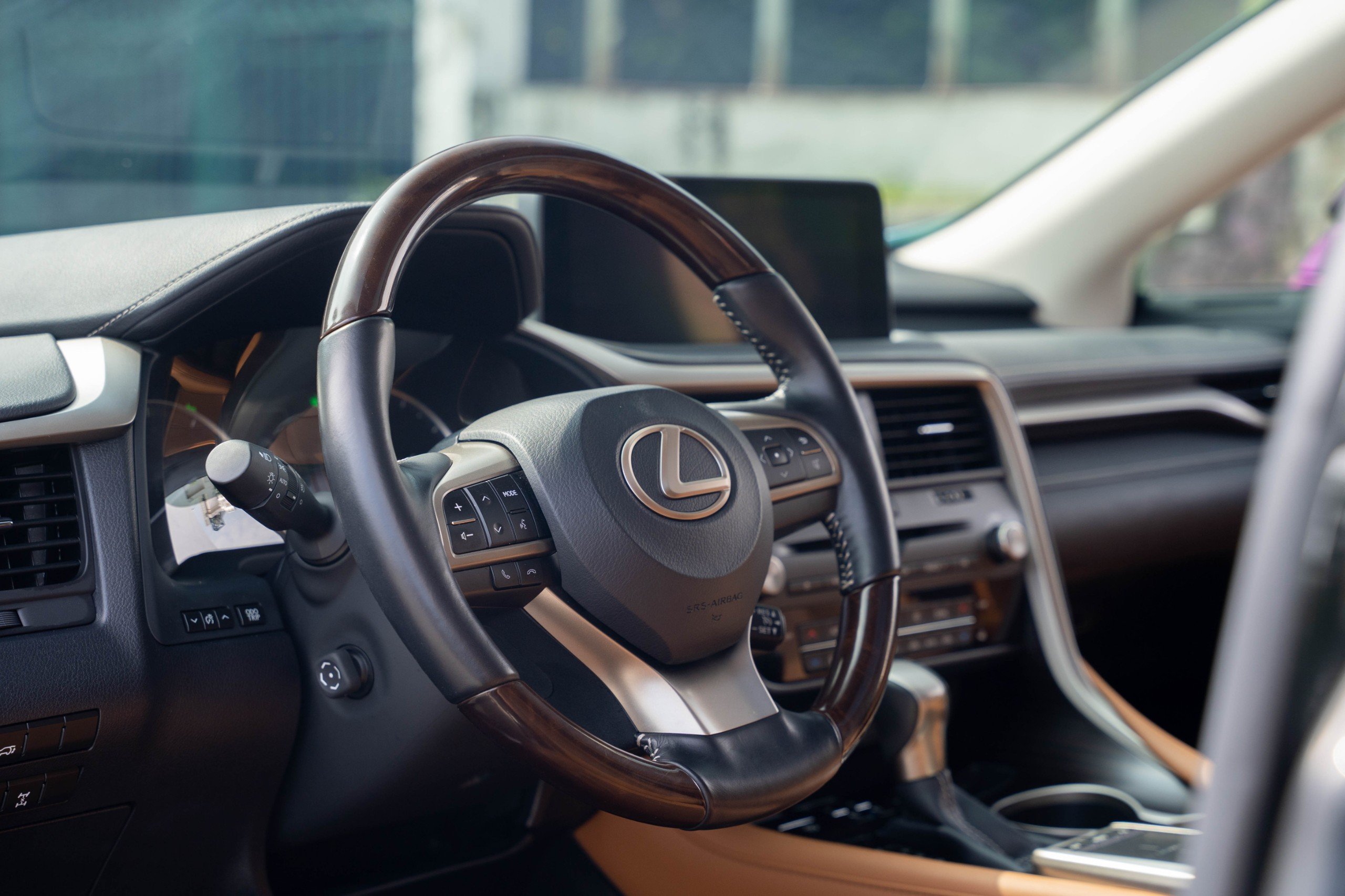 Lexus RX300 2020 (24)