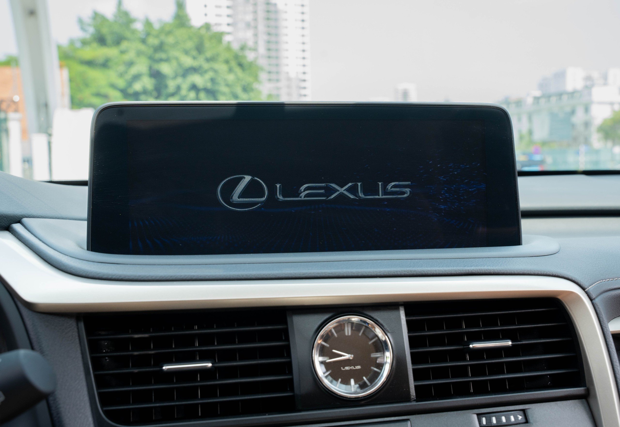 Lexus RX300 2020 (31)