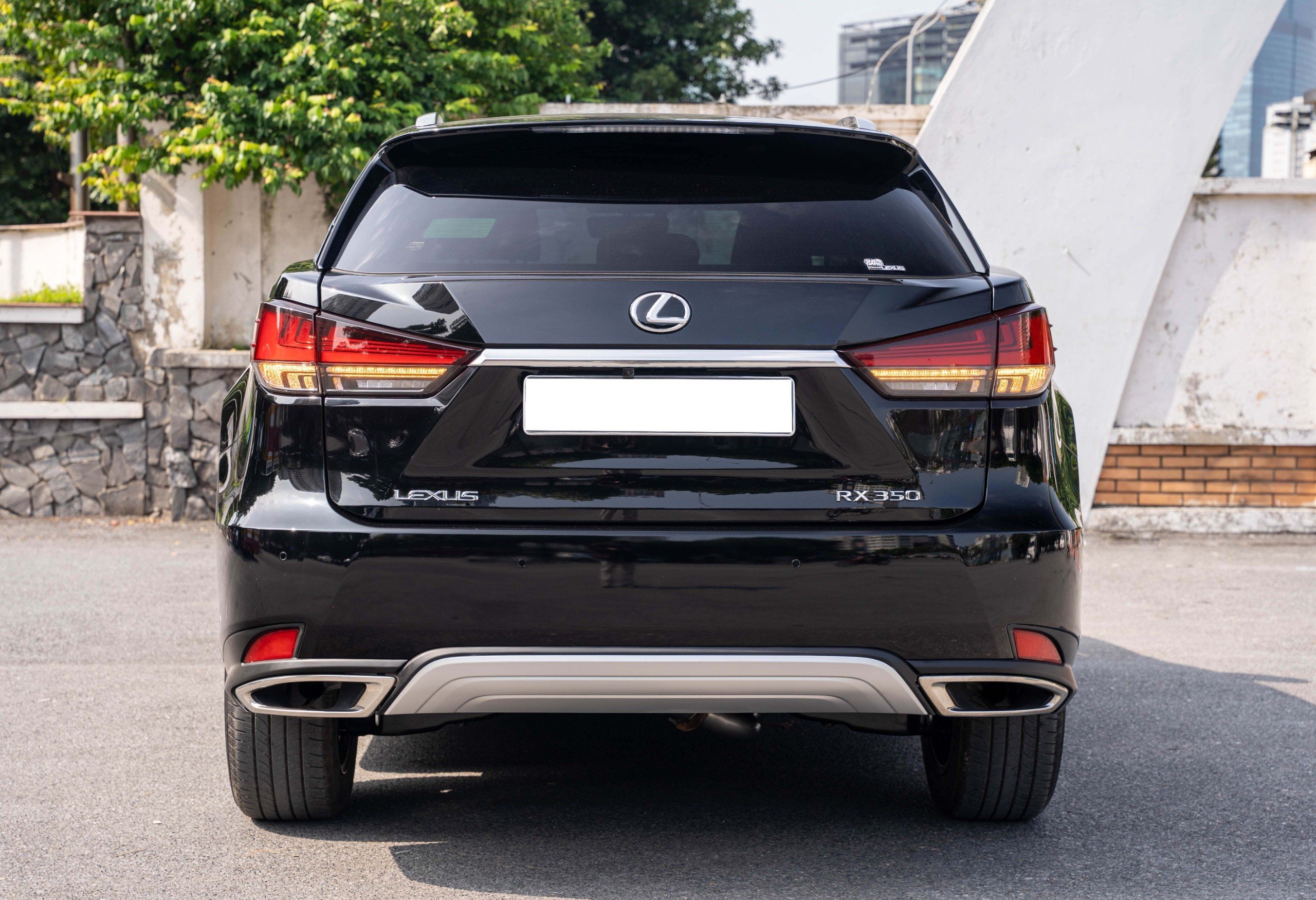 Lexus RX300 2020 (33)