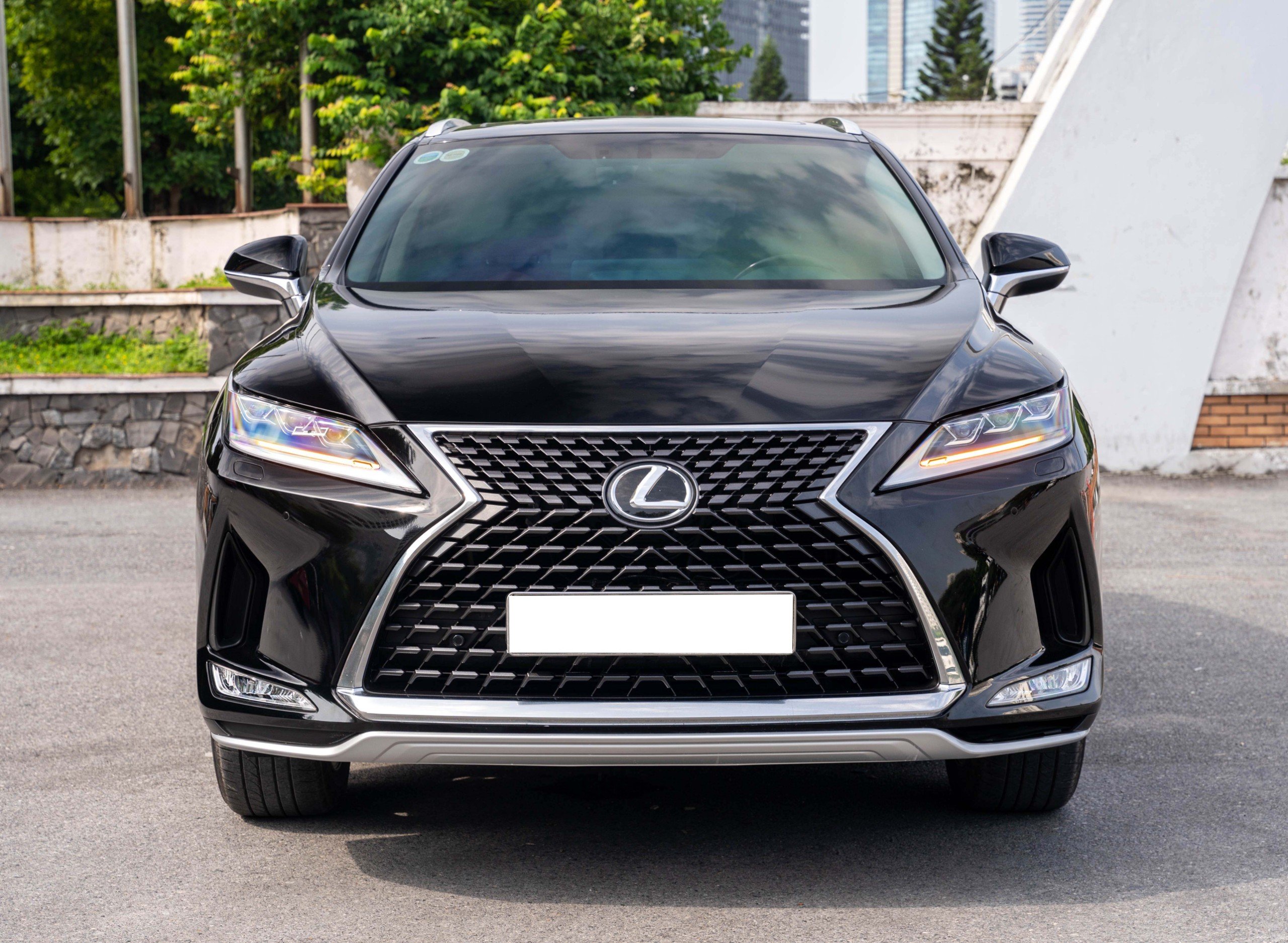 Lexus RX300 2020 (35)