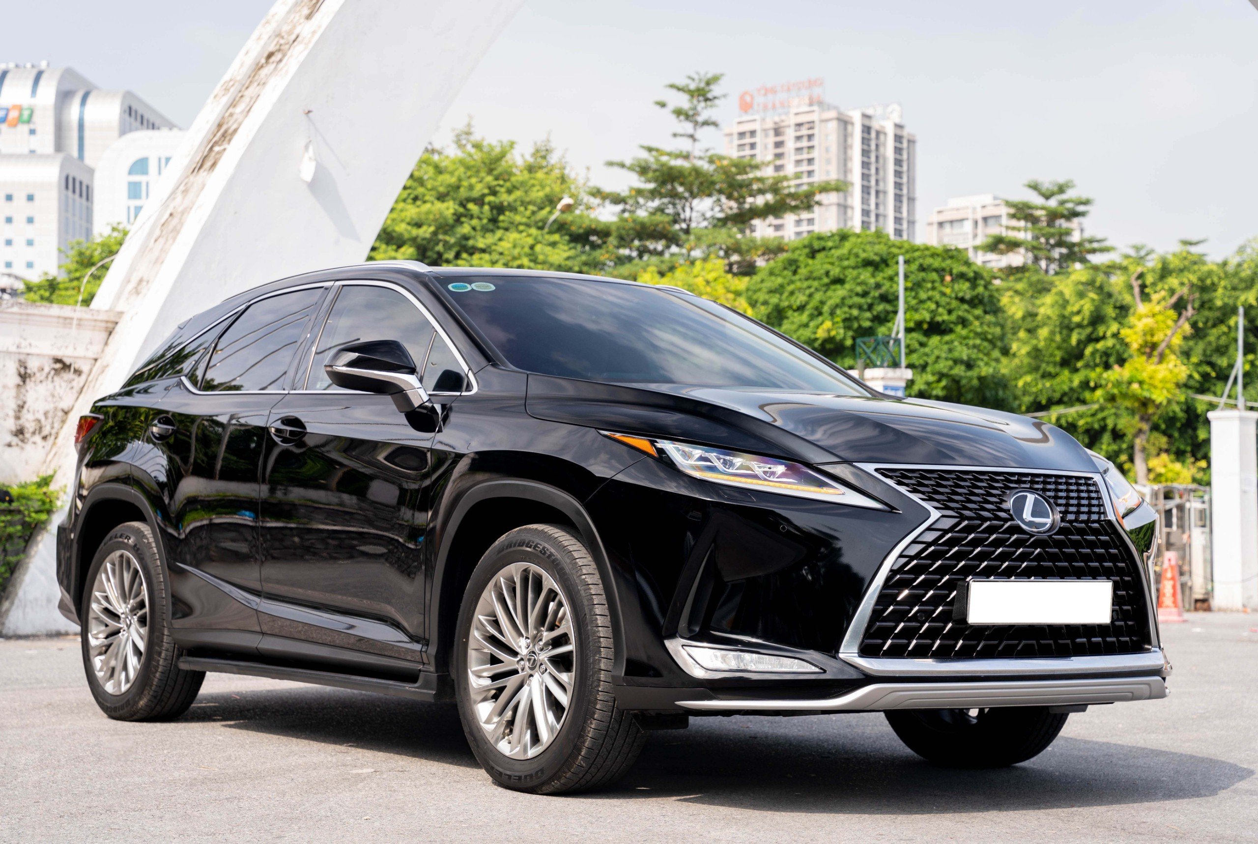 Lexus RX300 2020 (36)
