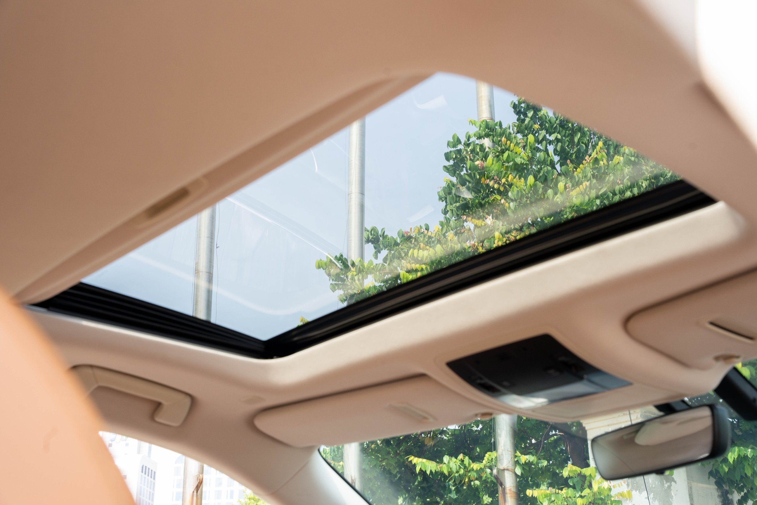 Lexus RX300 2020 (6)