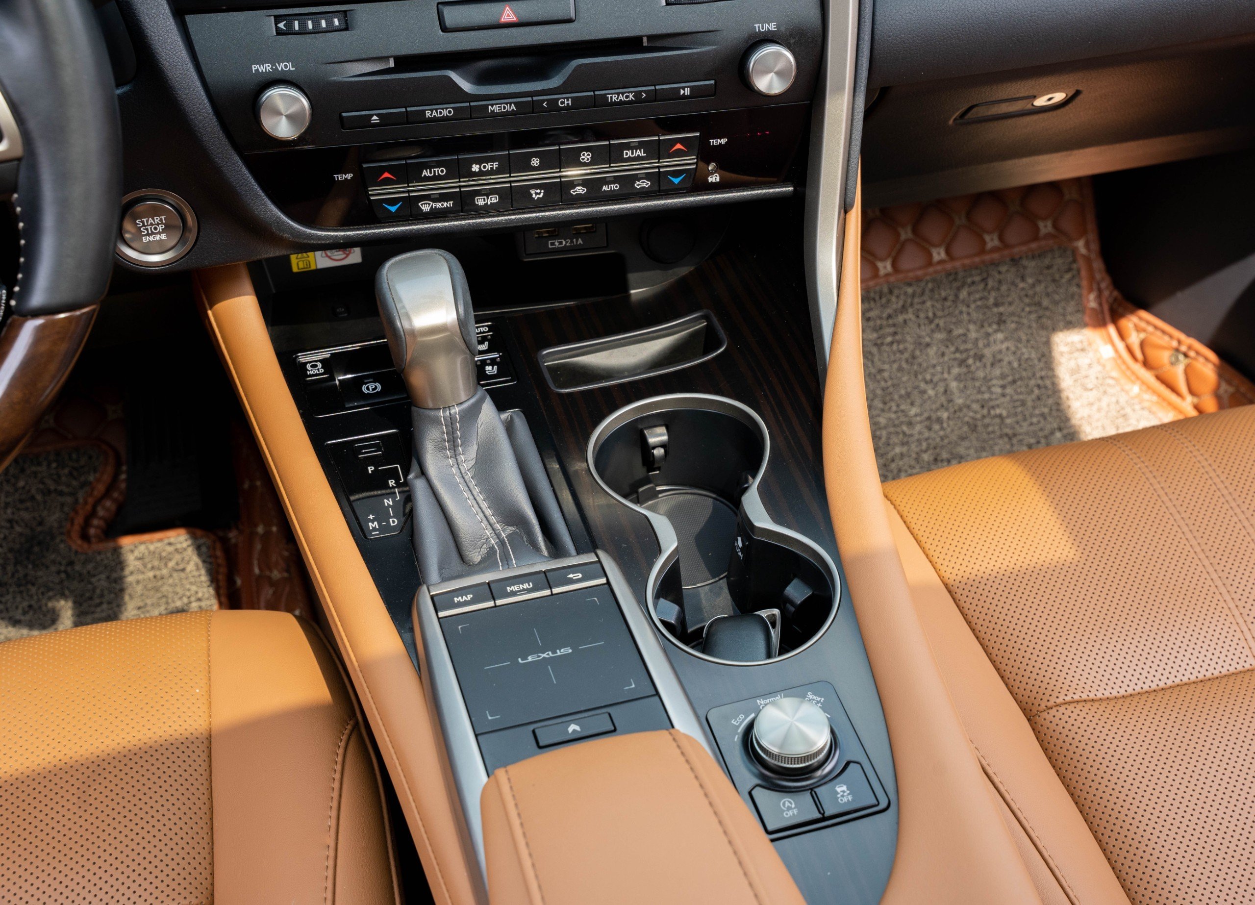 Lexus RX300 2020 (7)