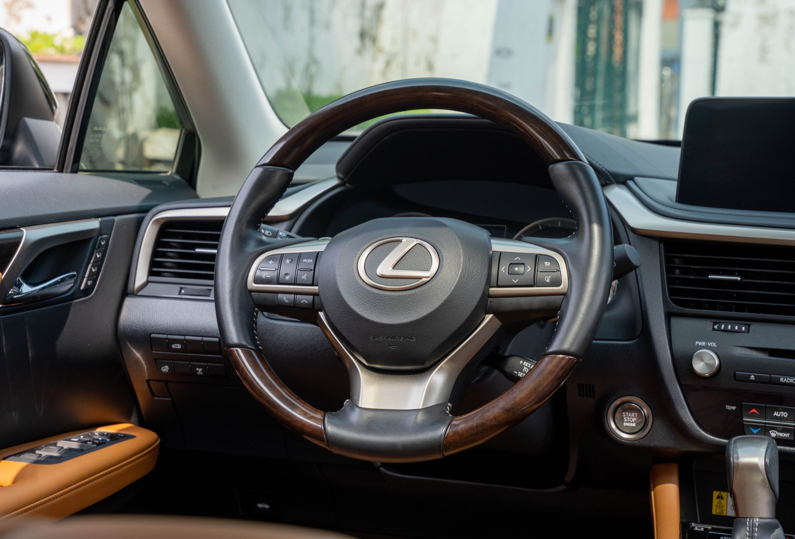Lexus RX300 2020 (9)