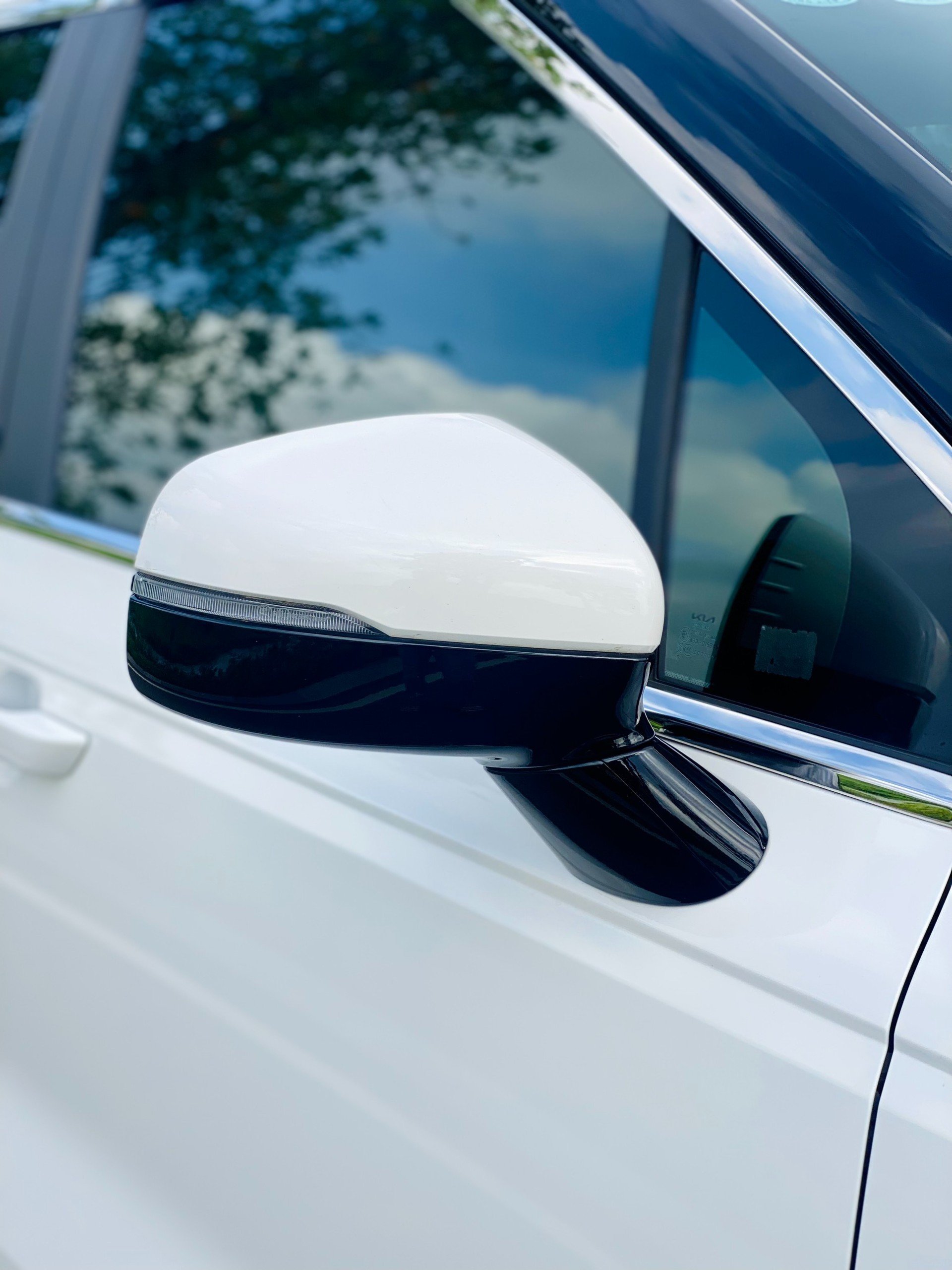 KIA Carnival 2023 - Luxury (3)